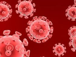 Kepala Dinkes Kutim Beberkan Bahaya HIV/AIDS Lemahkan Imun Tubuh