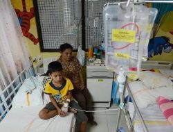 Kenalan pada Anak Sering Terjadi, Kepala DPPPA Kutai Timur Ungkapnya Berbagai Alasan