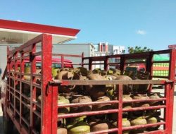 LPG 3 Kg Menjadi Langkah Diduga Masalah Disebabkan Saat Pendistribusian Ke Agen