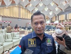Nidya Dukung Kebijakan Rencana Perubahan Pelarangan Ternak Domba