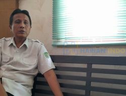 Program Inseminasi Buatan Masih Memiliki Kendala