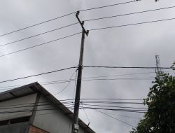 Program Listrik Desa Ditarget Rampung Akhir Tahun, Sasar 13 Desa di Tiga Kecamatan