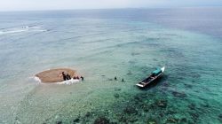Terumbu Karang Jadi Potensi Pengembangan Wisata Pulau Miang